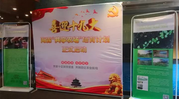 K8·凯发(中国)天生赢家·一触即发