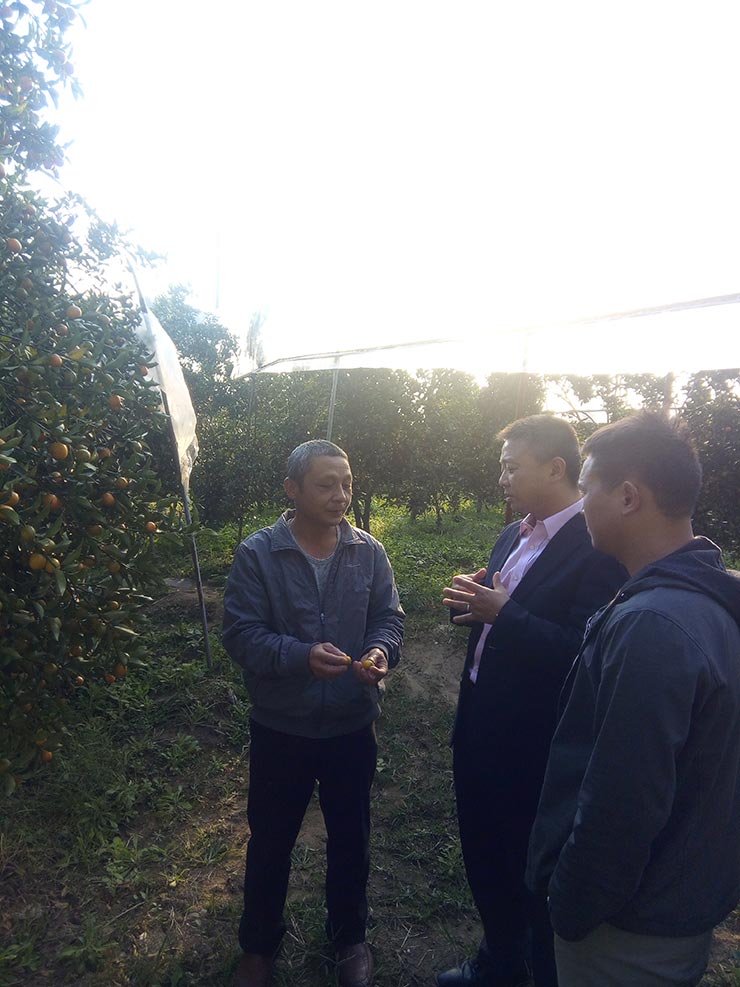 K8·凯发(中国)天生赢家·一触即发