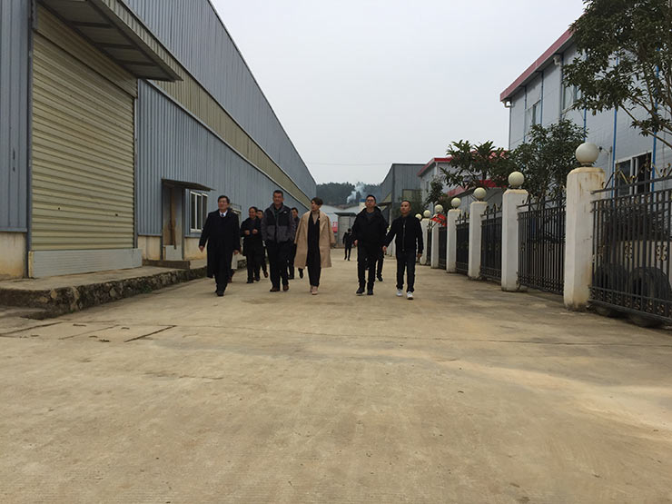 1-1Q21P946415U K8·凯发(中国)天生赢家·一触即发