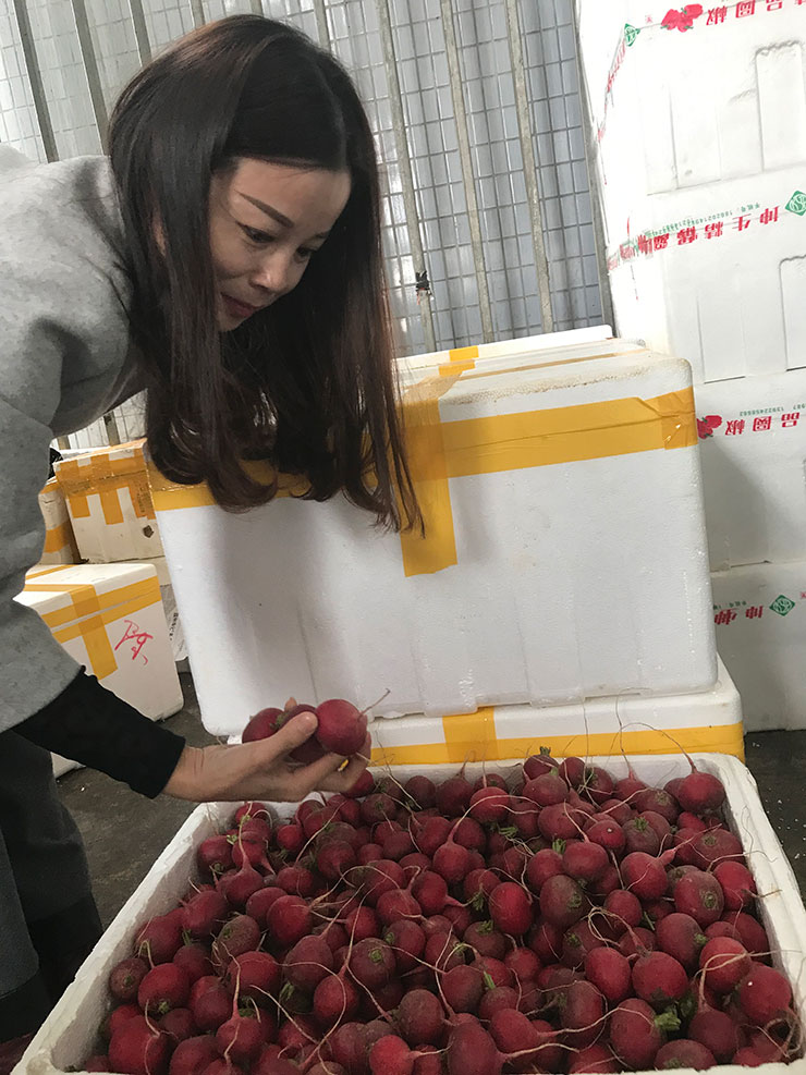 K8·凯发(中国)天生赢家·一触即发
