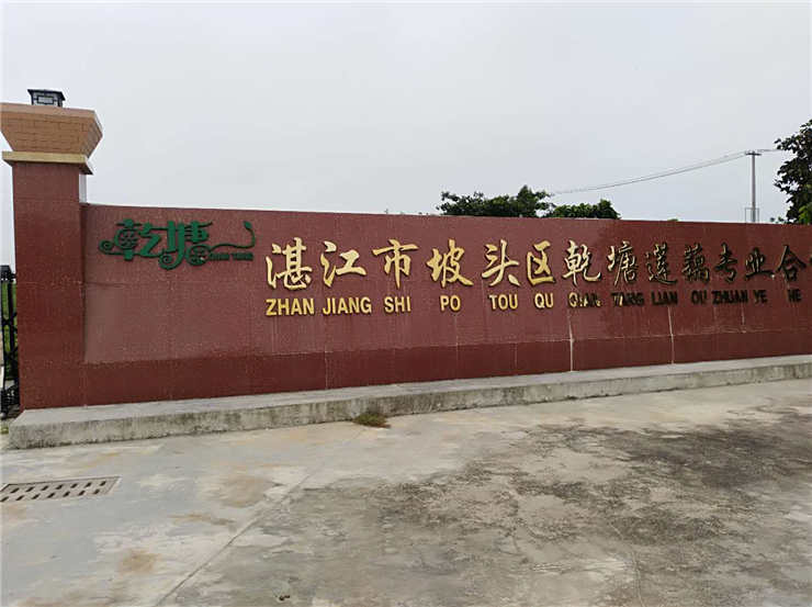 K8·凯发(中国)天生赢家·一触即发