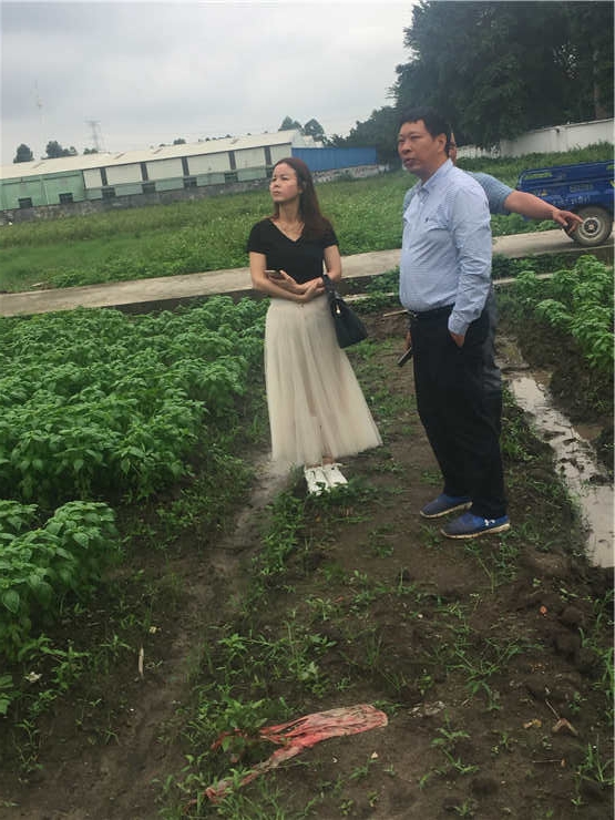 1-1Z52214262V06 K8·凯发(中国)天生赢家·一触即发
