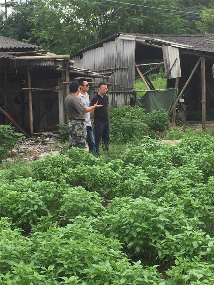 K8·凯发(中国)天生赢家·一触即发