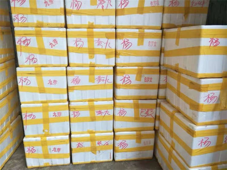 K8·凯发(中国)天生赢家·一触即发