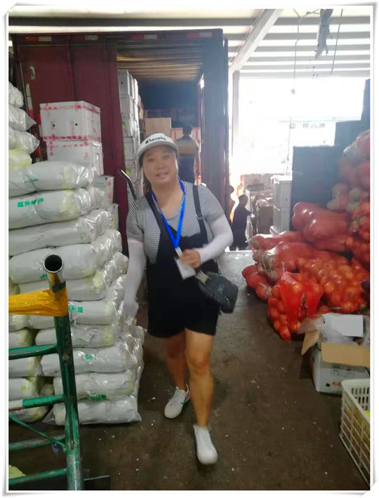 K8·凯发(中国)天生赢家·一触即发