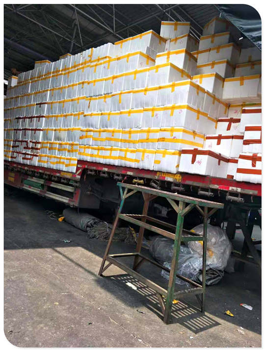 K8·凯发(中国)天生赢家·一触即发