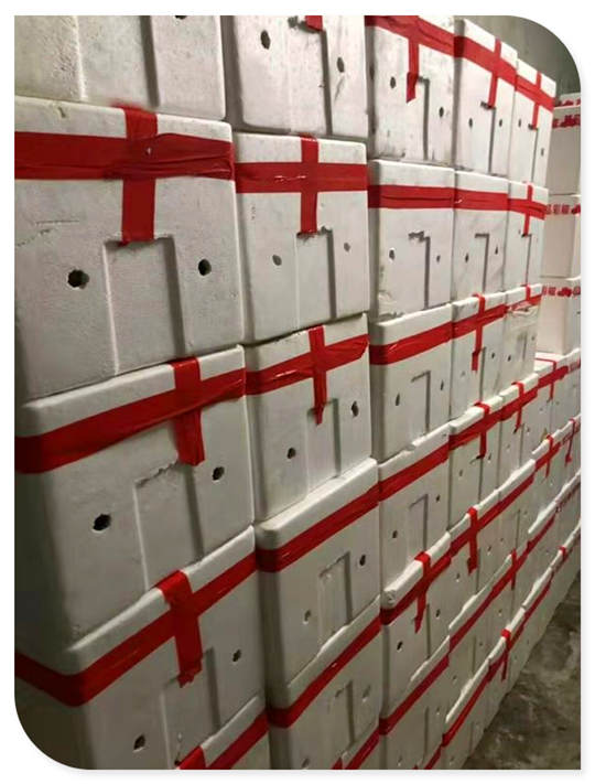 K8·凯发(中国)天生赢家·一触即发