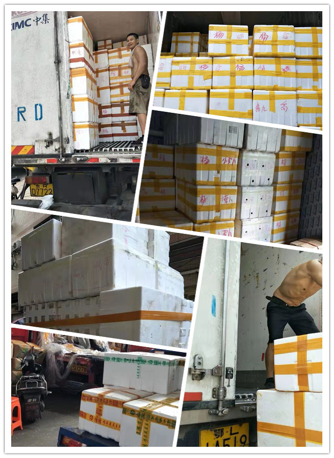 K8·凯发(中国)天生赢家·一触即发