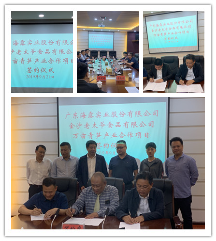 K8·凯发(中国)天生赢家·一触即发
