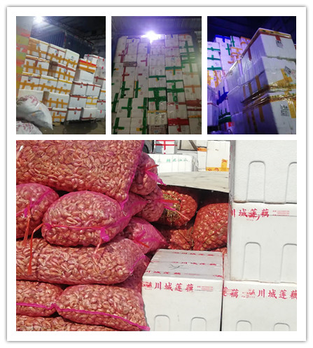 K8·凯发(中国)天生赢家·一触即发