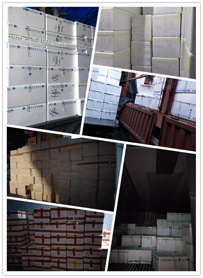 K8·凯发(中国)天生赢家·一触即发