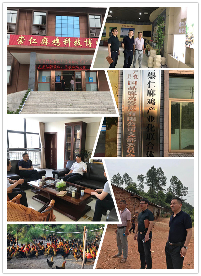 K8·凯发(中国)天生赢家·一触即发