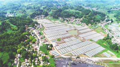1-200S1101113244 K8·凯发(中国)天生赢家·一触即发