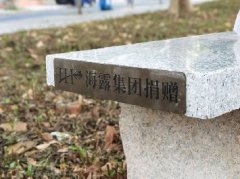 集团党支部落实大花圃经济联社“民生微项目”，提升居民人民幸福感