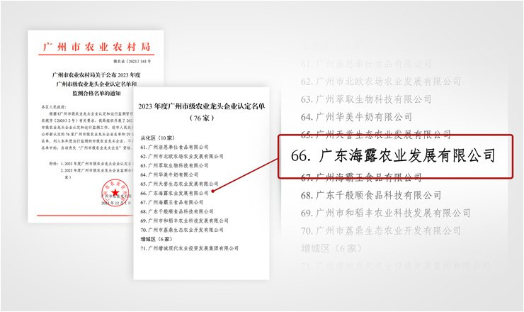 1-23120GS941164 K8·凯发(中国)天生赢家·一触即发