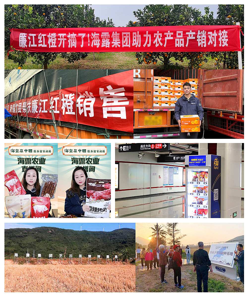 1-2401031QG3L6 K8·凯发(中国)天生赢家·一触即发