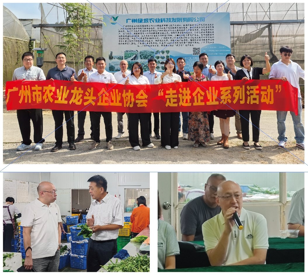 1-24101Q42051T1 K8·凯发(中国)天生赢家·一触即发