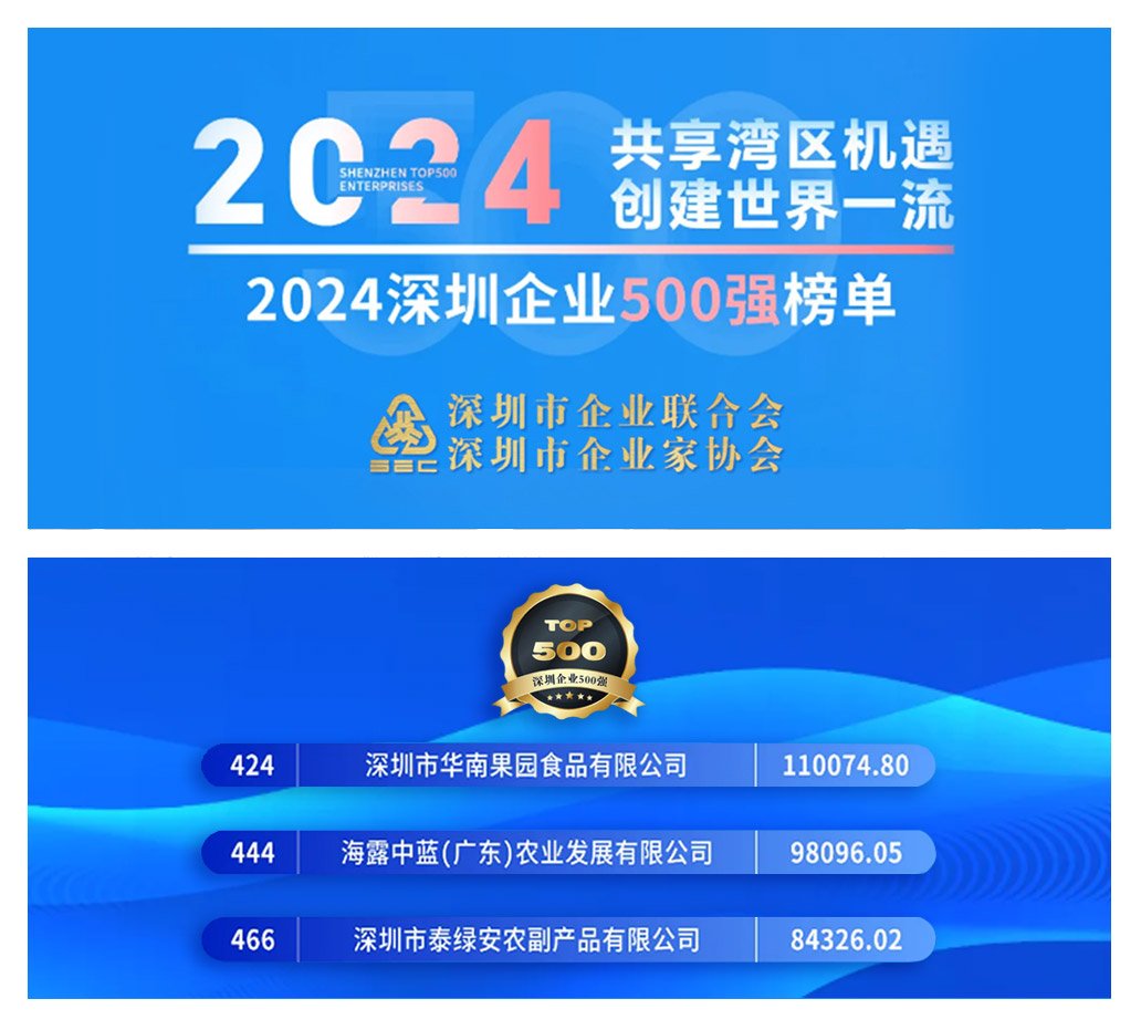 1-241220141S4940 K8·凯发(中国)天生赢家·一触即发