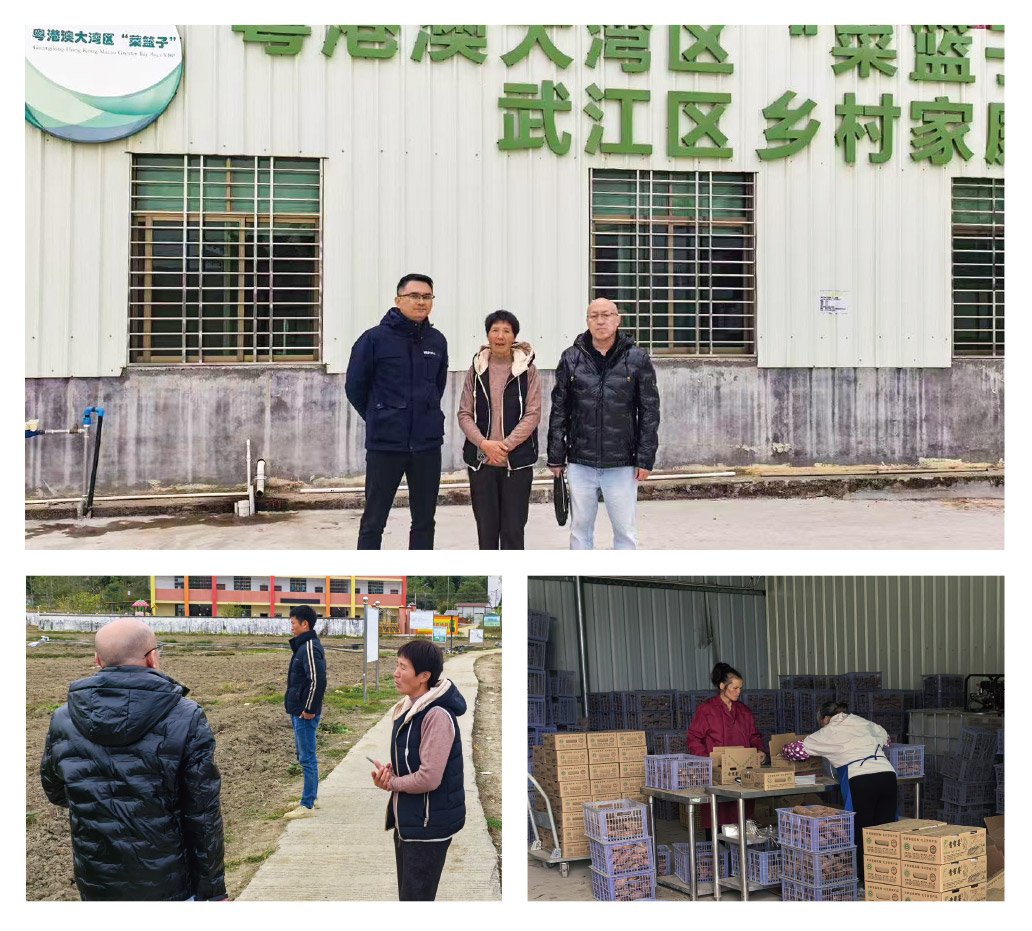 1-2412240942025K K8·凯发(中国)天生赢家·一触即发