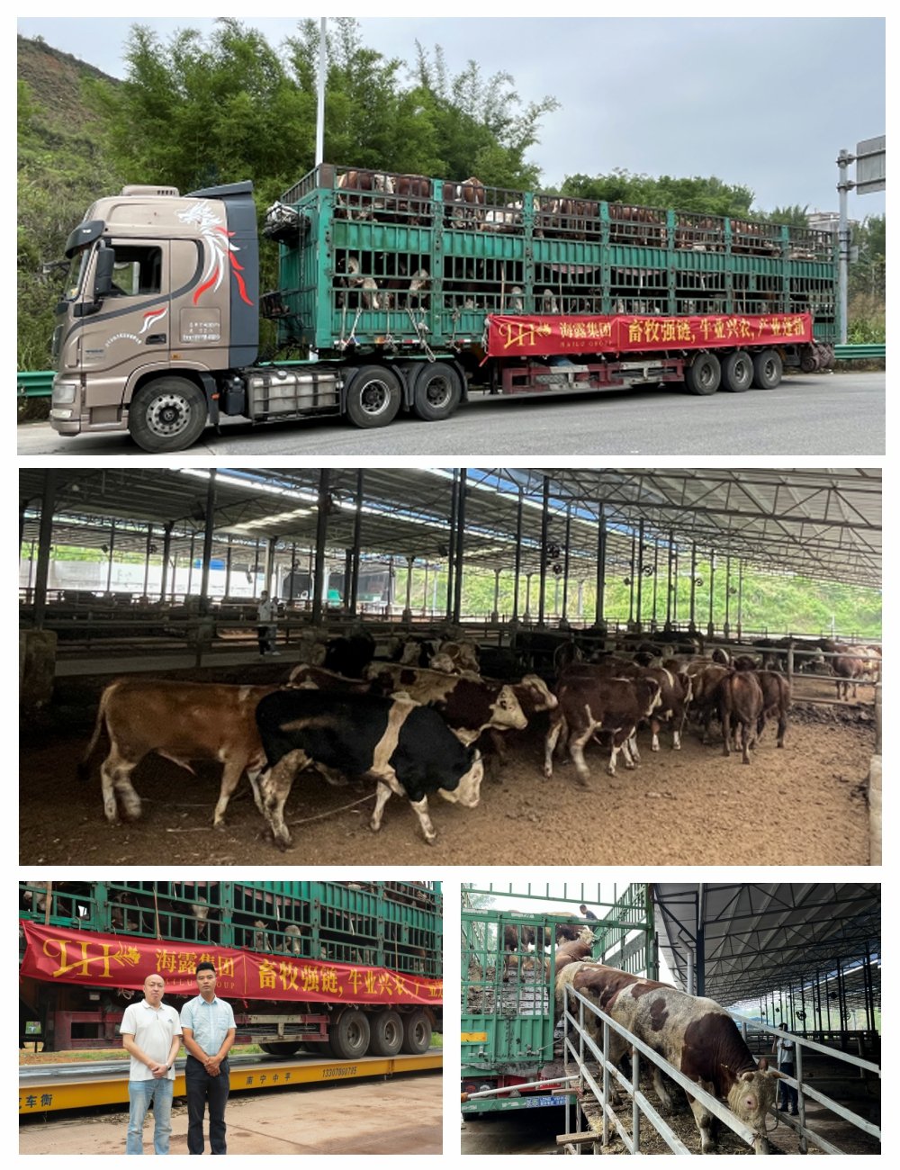 1-25052P9411LK K8·凯发(中国)天生赢家·一触即发
