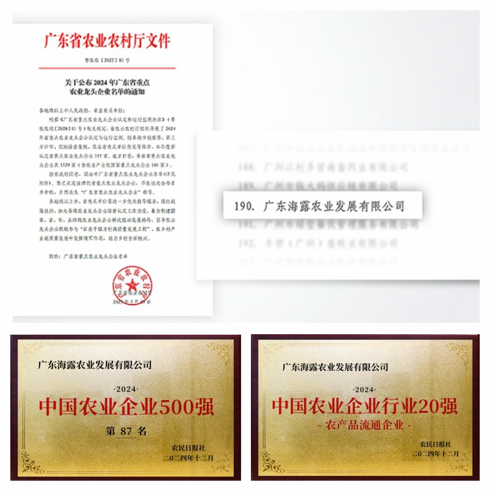1-2506051411103H K8·凯发(中国)天生赢家·一触即发