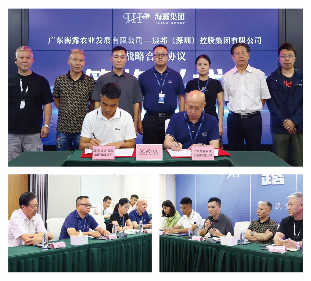 1-25061G6452EQ K8·凯发(中国)天生赢家·一触即发