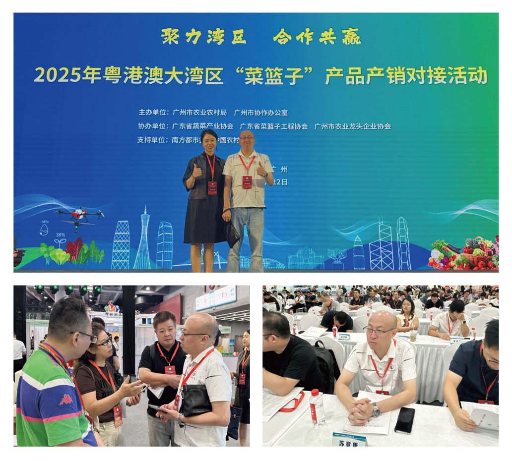 1-250R611033C27 K8·凯发(中国)天生赢家·一触即发