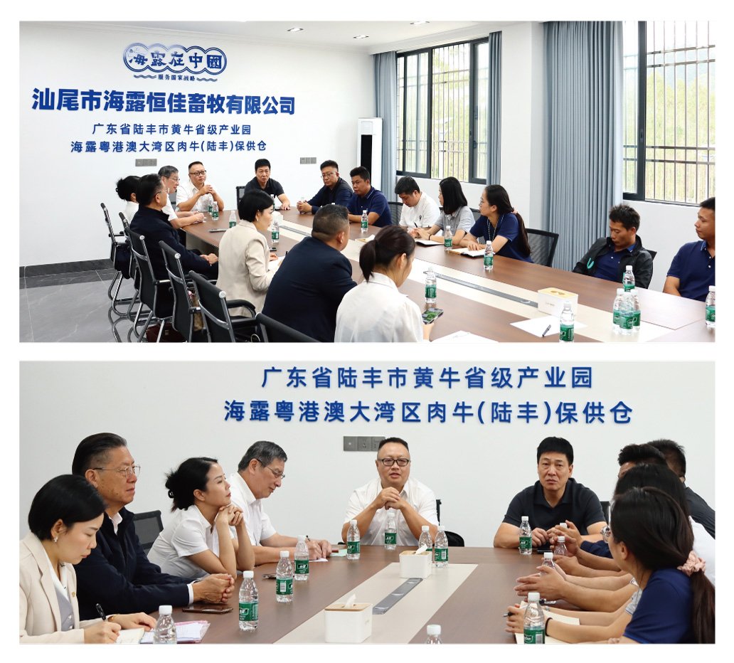 K8·凯发(中国)天生赢家·一触即发